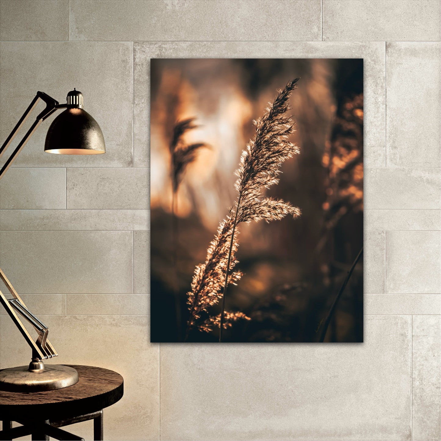 Light & Darkness II