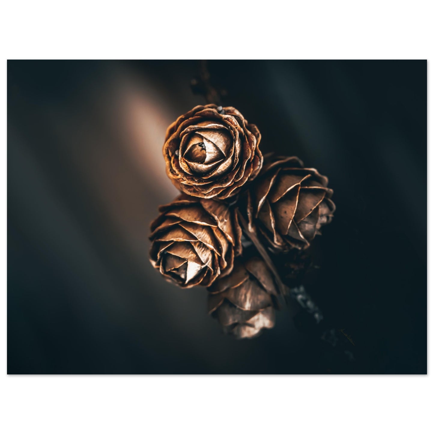 Brownie - liggende format