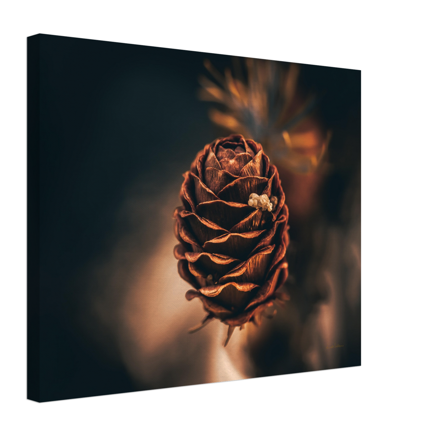 Golden Cone - liggende format