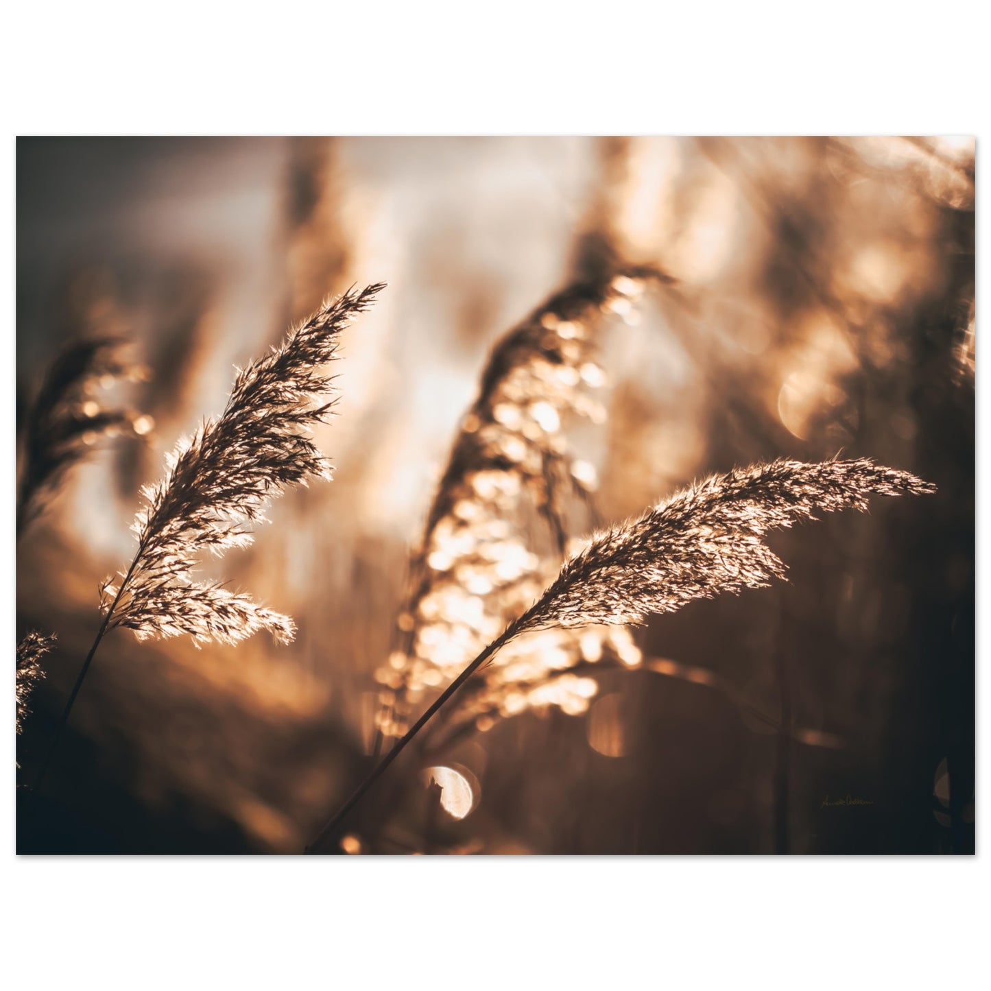 78b8c4de-567d-49e1-aa29-2015727db1df