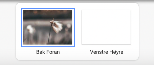 Feel free - Pakke med 10 kort (standardkonvolutter)