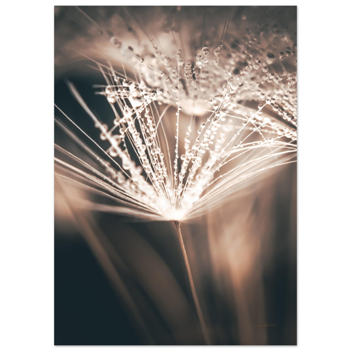 c9e8eb1d-d868-4b03-ad33-d16740c0c69d