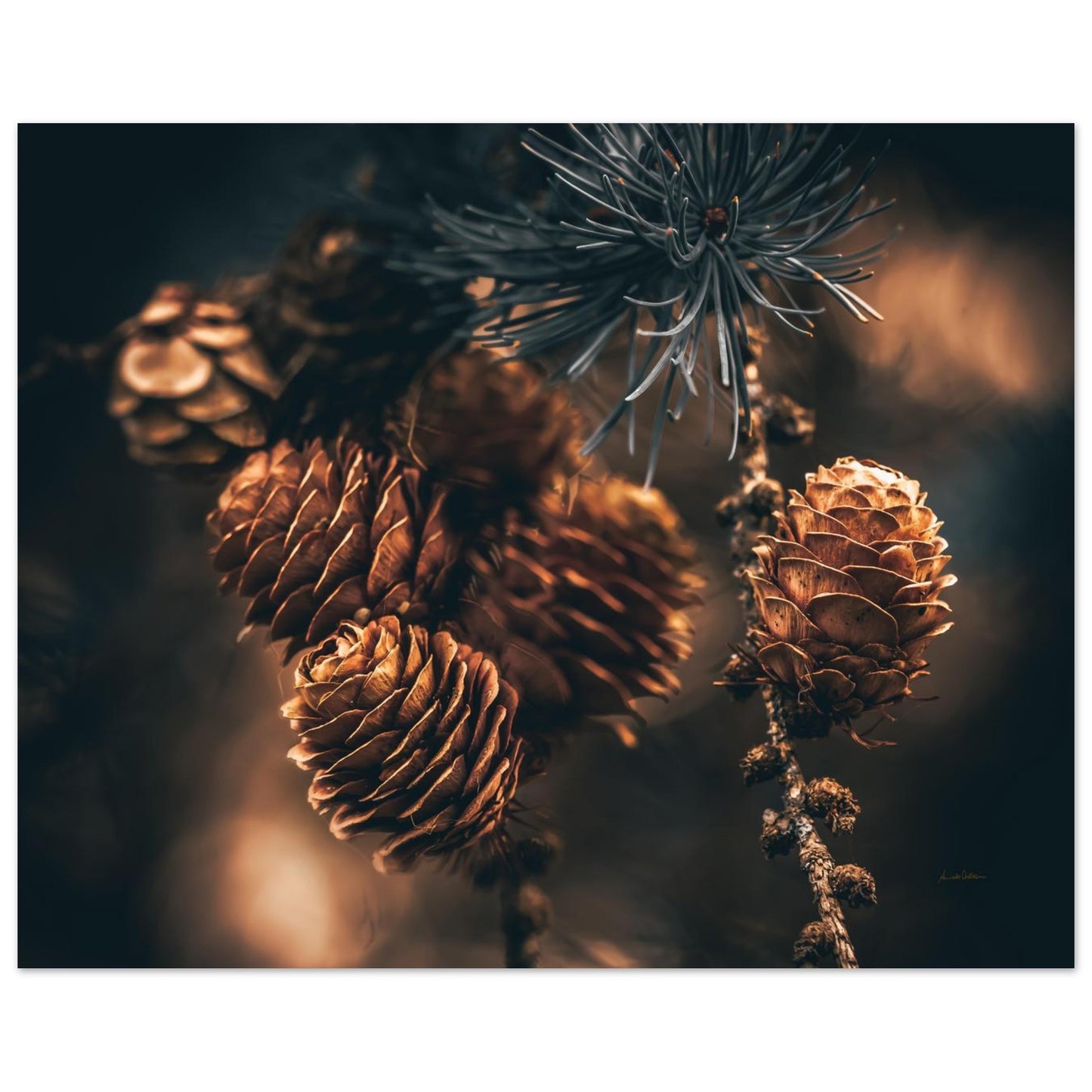 d582ddd2-9800-4d20-a55e-0ebf45aa23bf