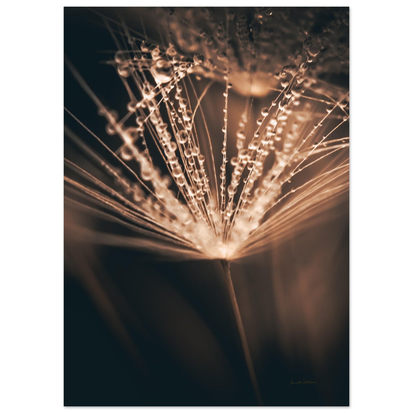 ef63ad08-d5e0-4e8d-88e0-a7203c4a40e0
