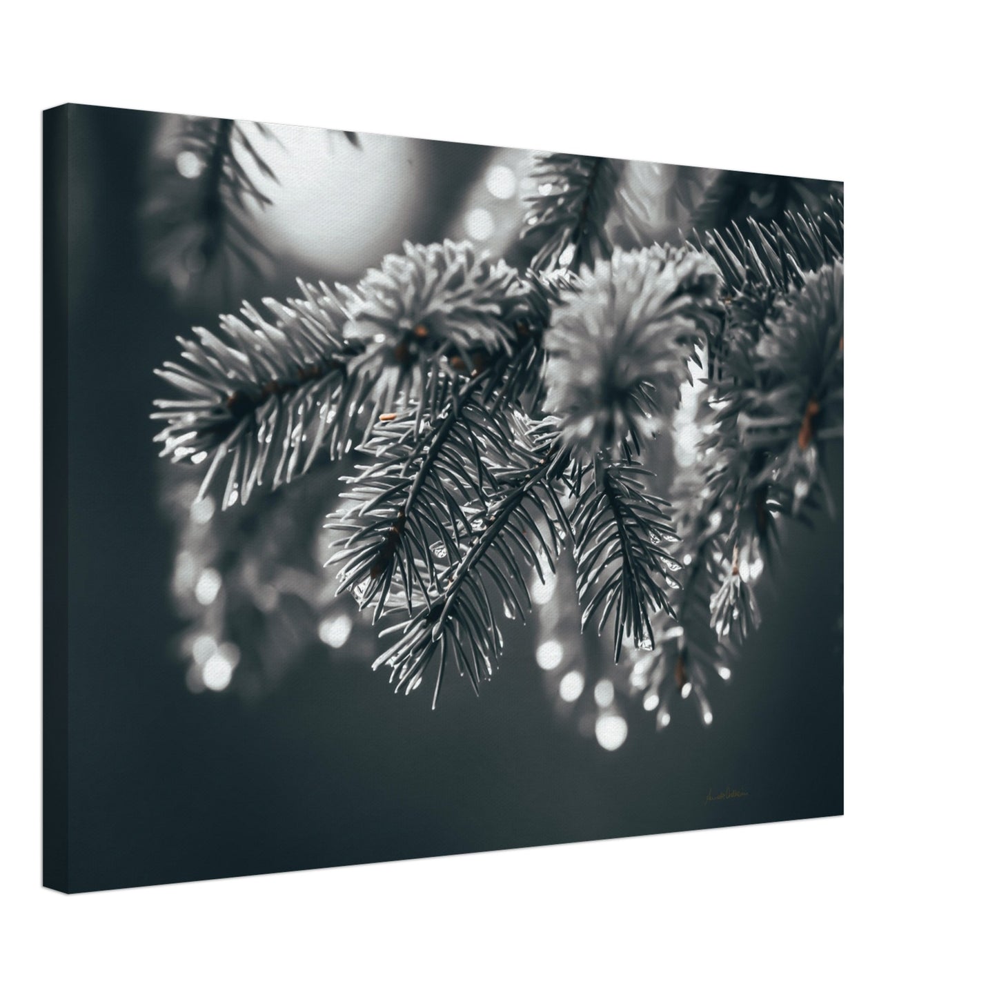 ffed2dc3-ce7f-42b3-87b5-3bcec44668f7