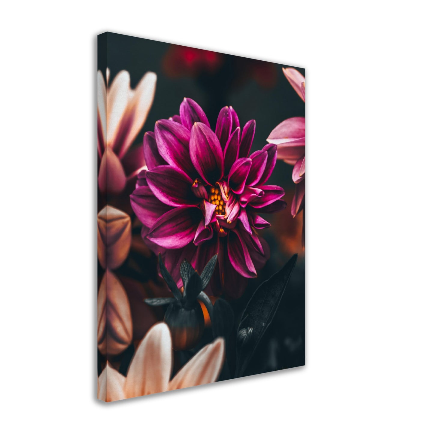 Blossom