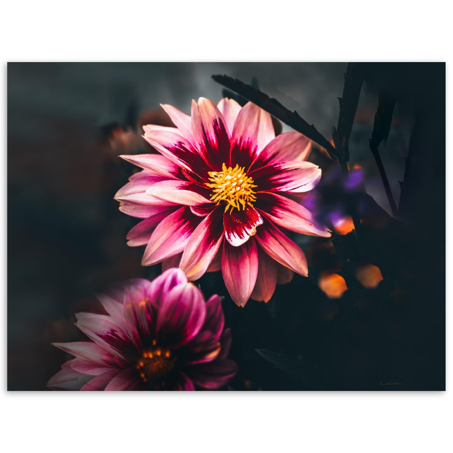 You shine II - liggende format