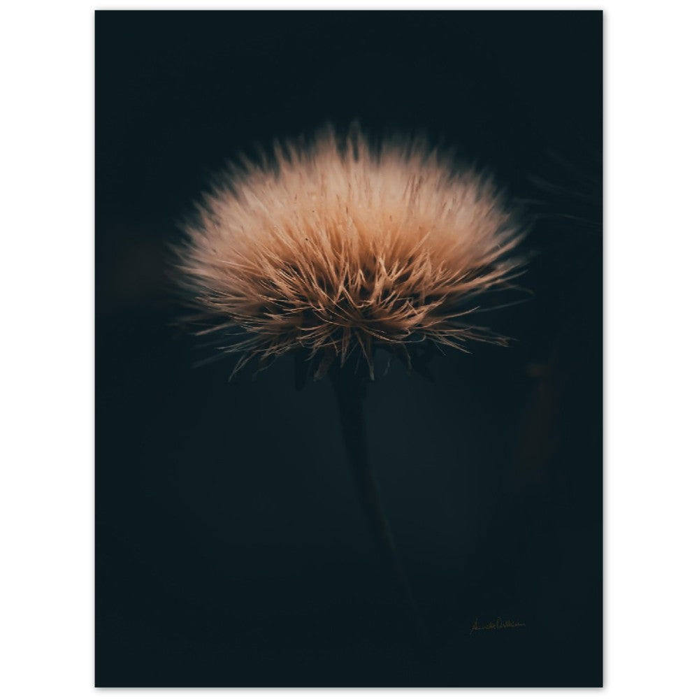 Fluffy