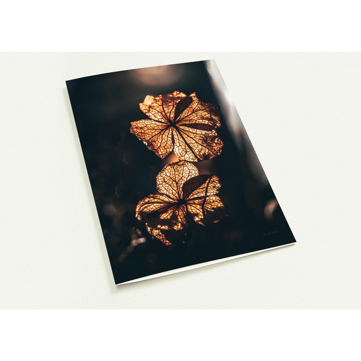 Golden Bloom - Pakke med 10 foldekort (standardkonvolutter)