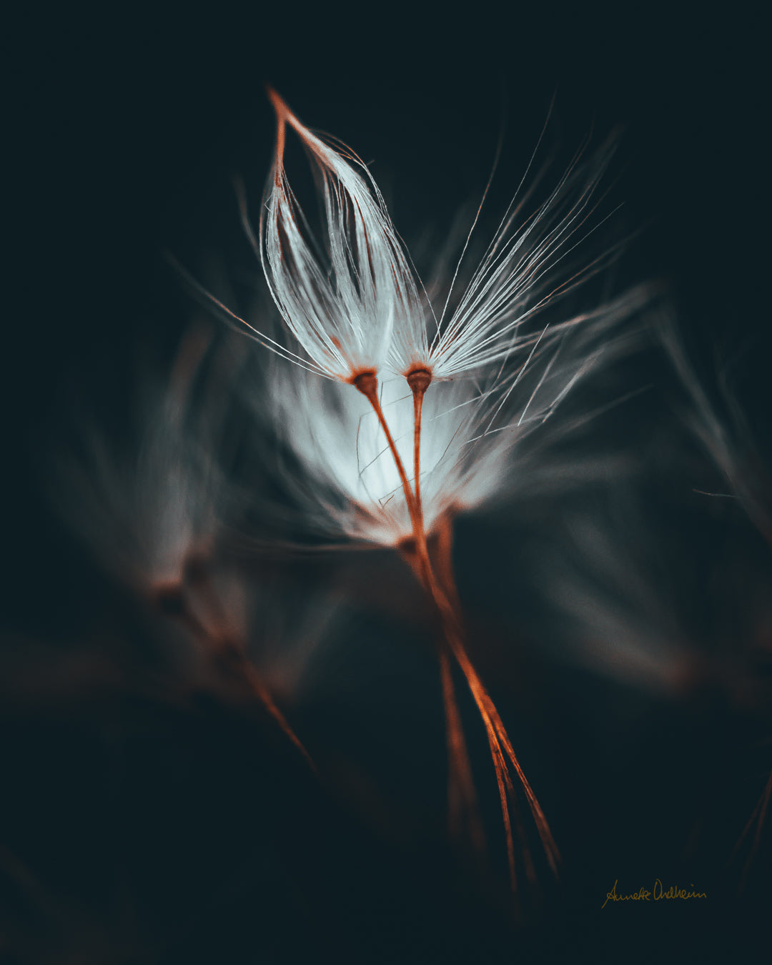 Cool & moody