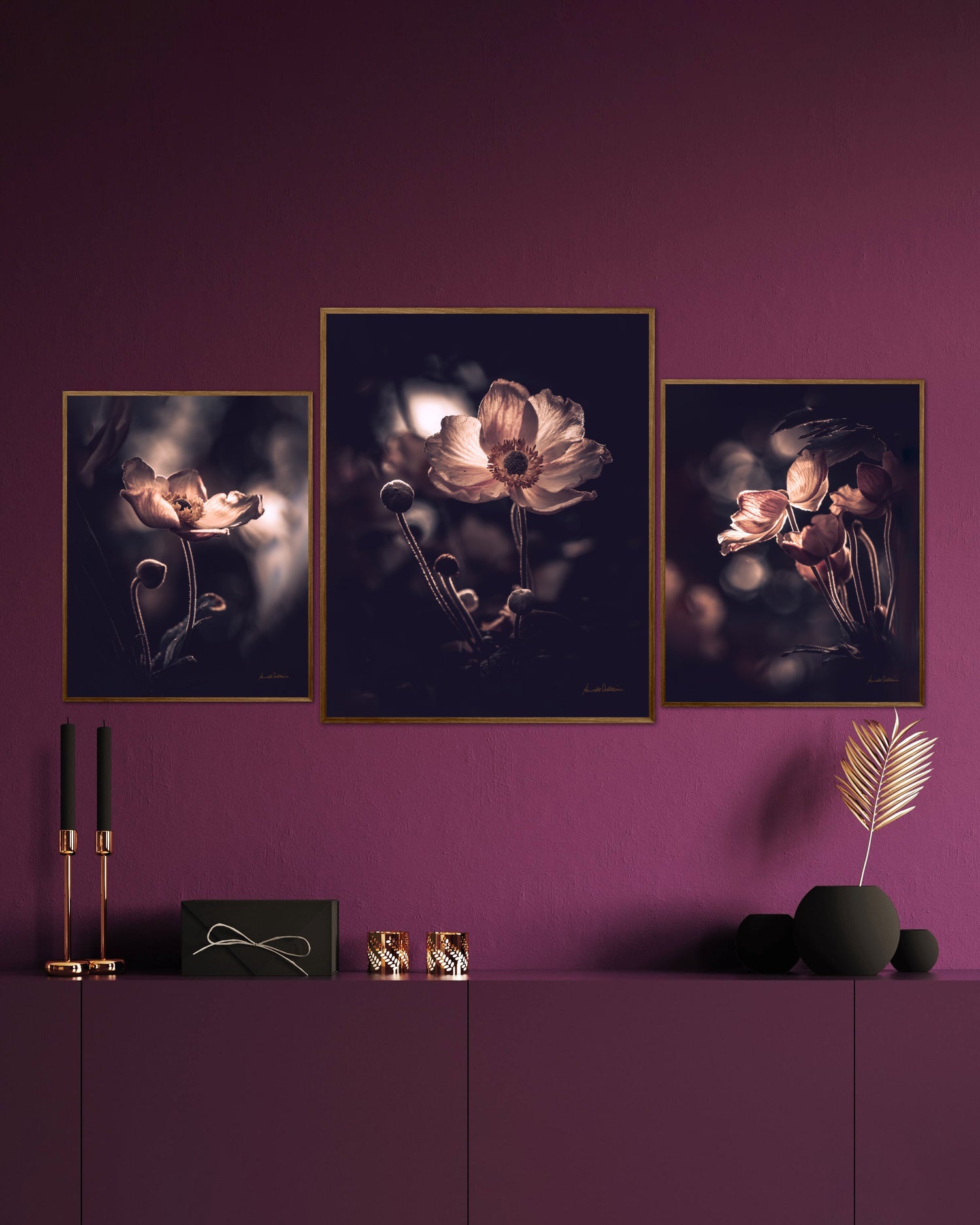 Serie lilla value anemone