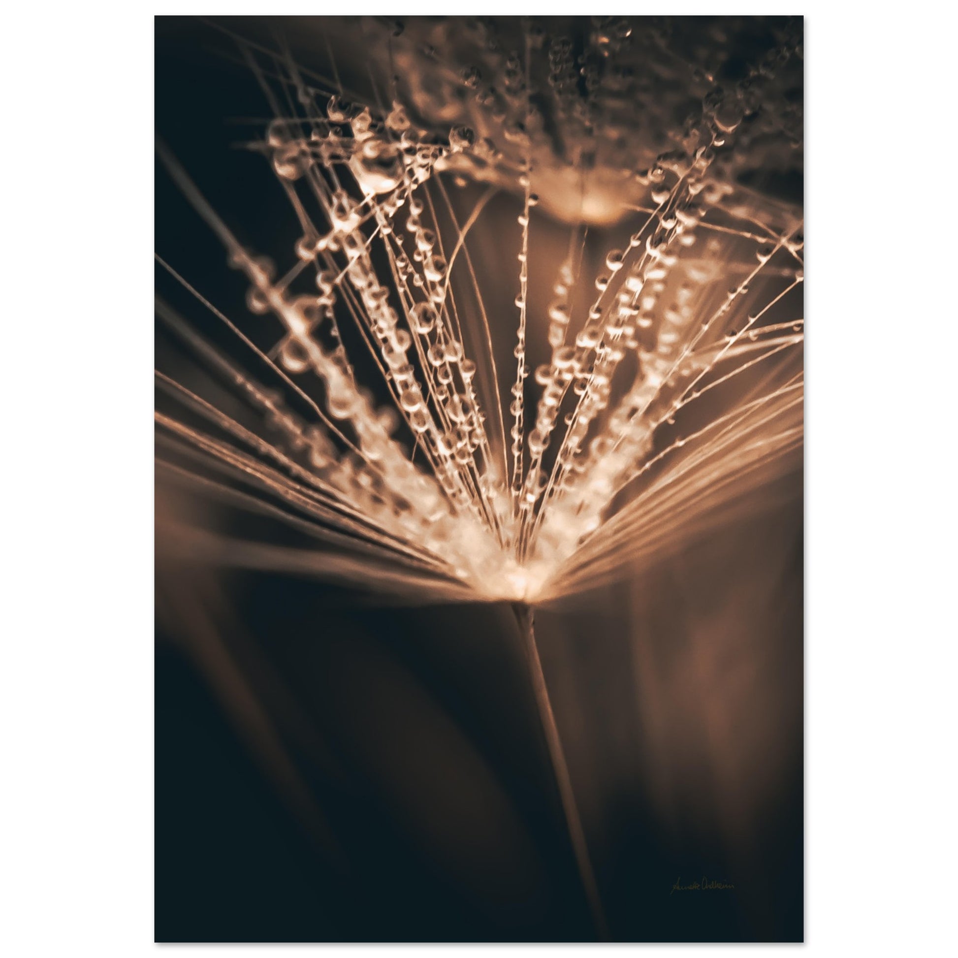 009815bc-f928-4477-93b0-b93bd307a296