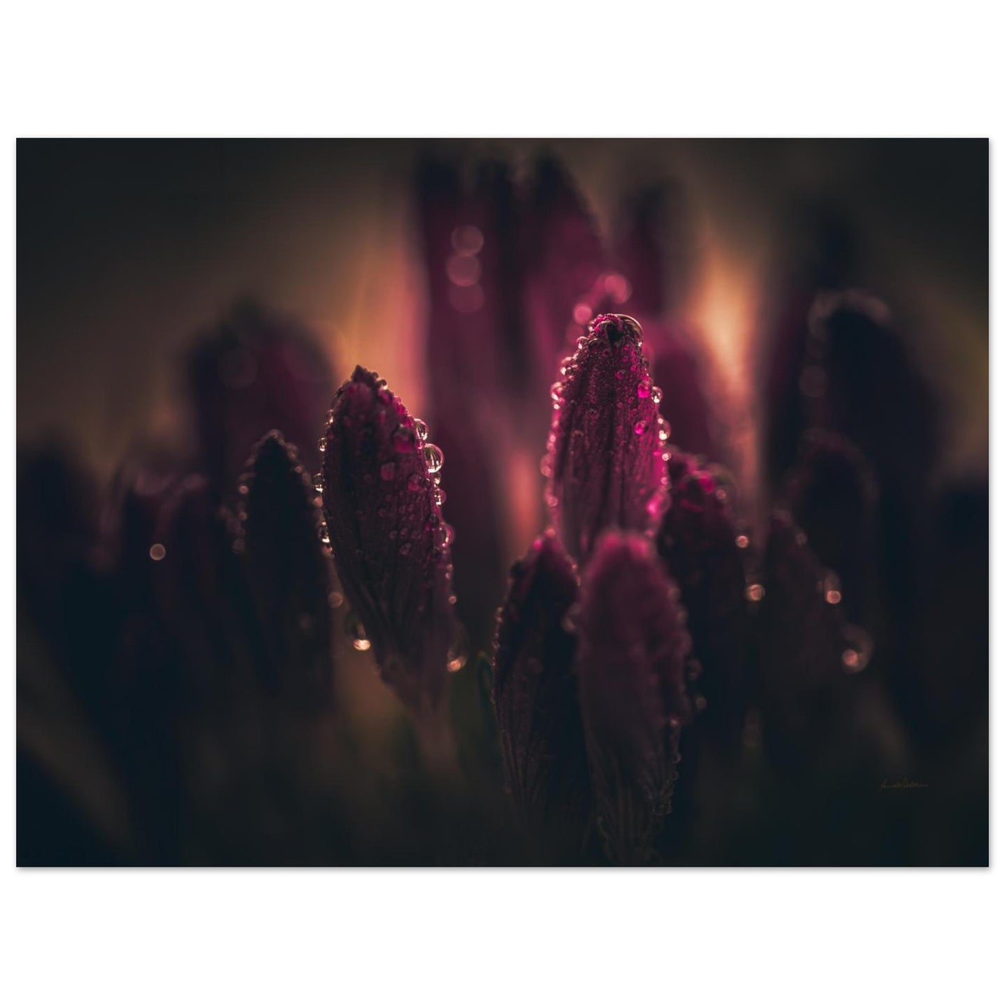 01ab3017-ff7a-492e-aa1b-c4cc7dd1ac90