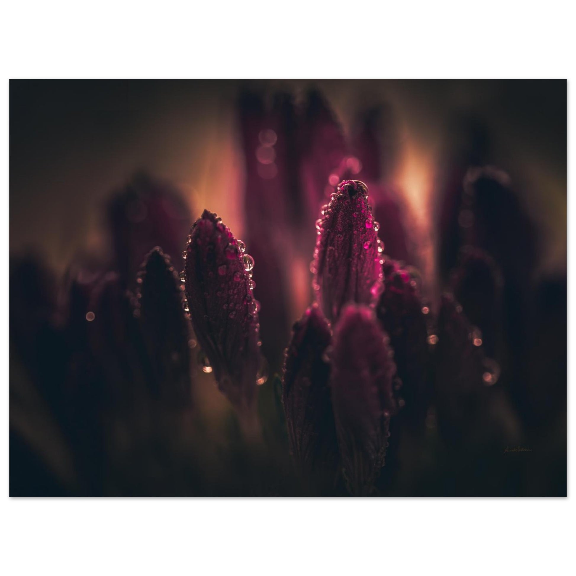 01ab3017-ff7a-492e-aa1b-c4cc7dd1ac90