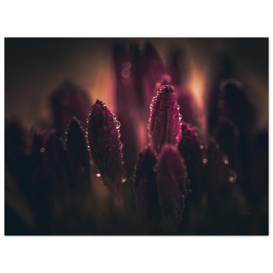 01ab3017-ff7a-492e-aa1b-c4cc7dd1ac90