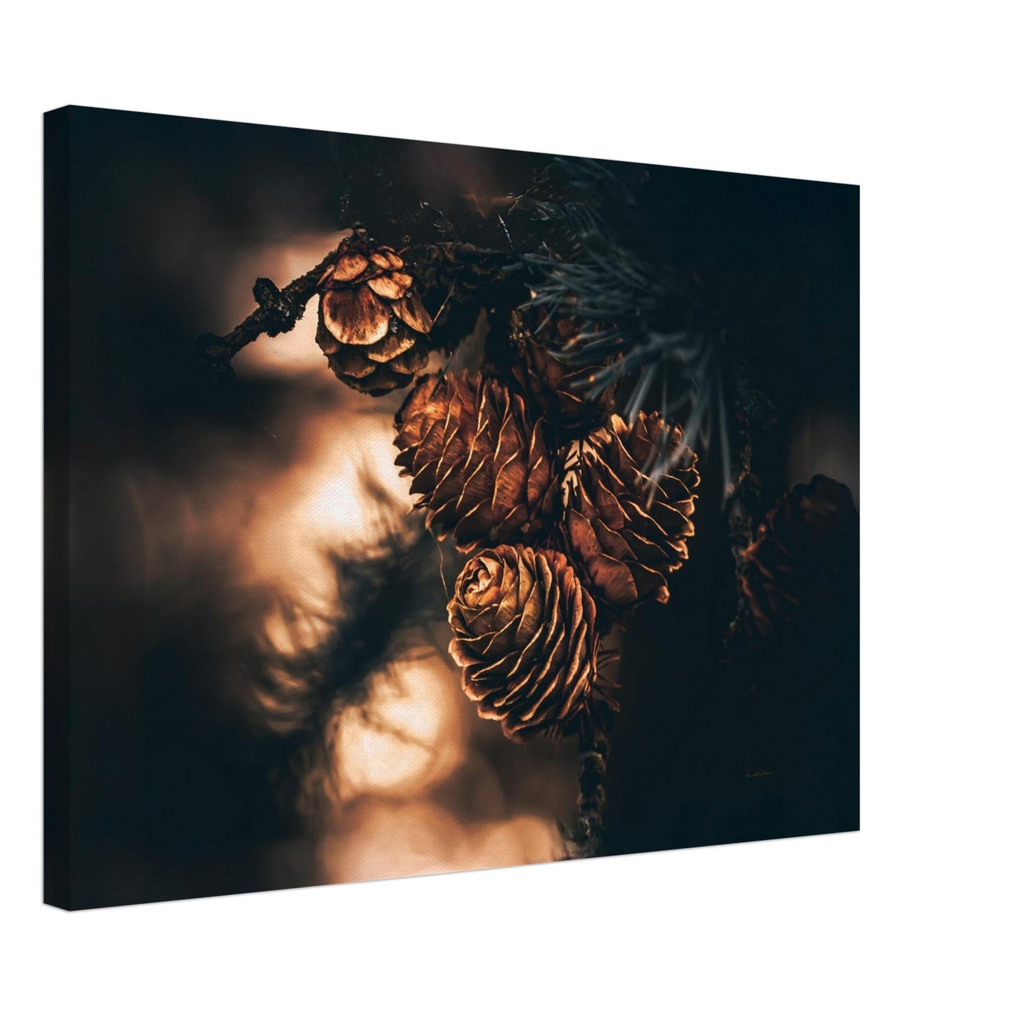 04cf2095-15ec-48e9-bce7-62872ca4a114