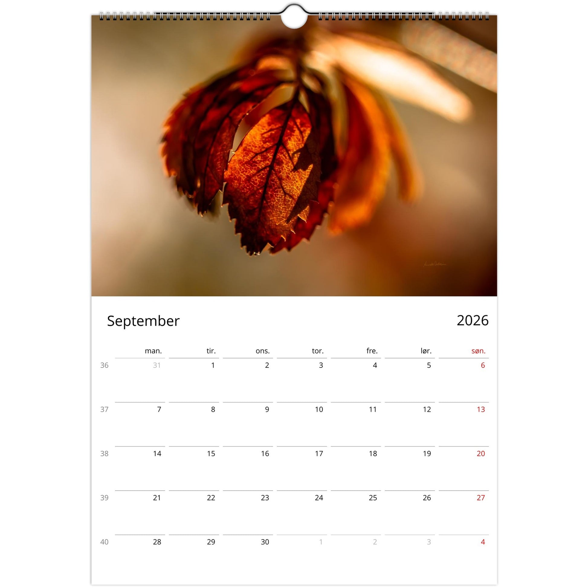 07a06486-4a0c-43a9-b61c-bdd348a352ac