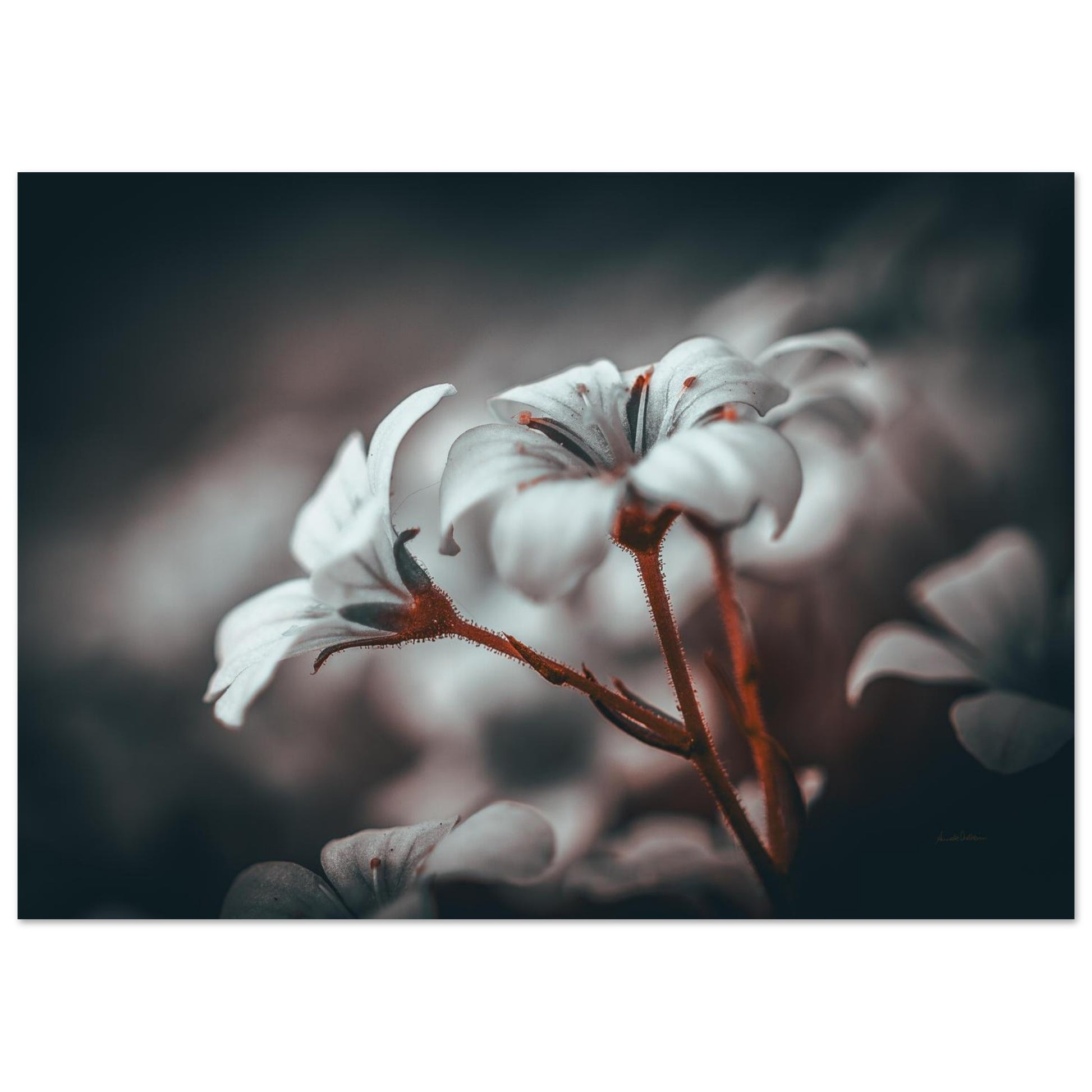 094d10c8-18fb-4f36-a49f-baa3d3ed74fb