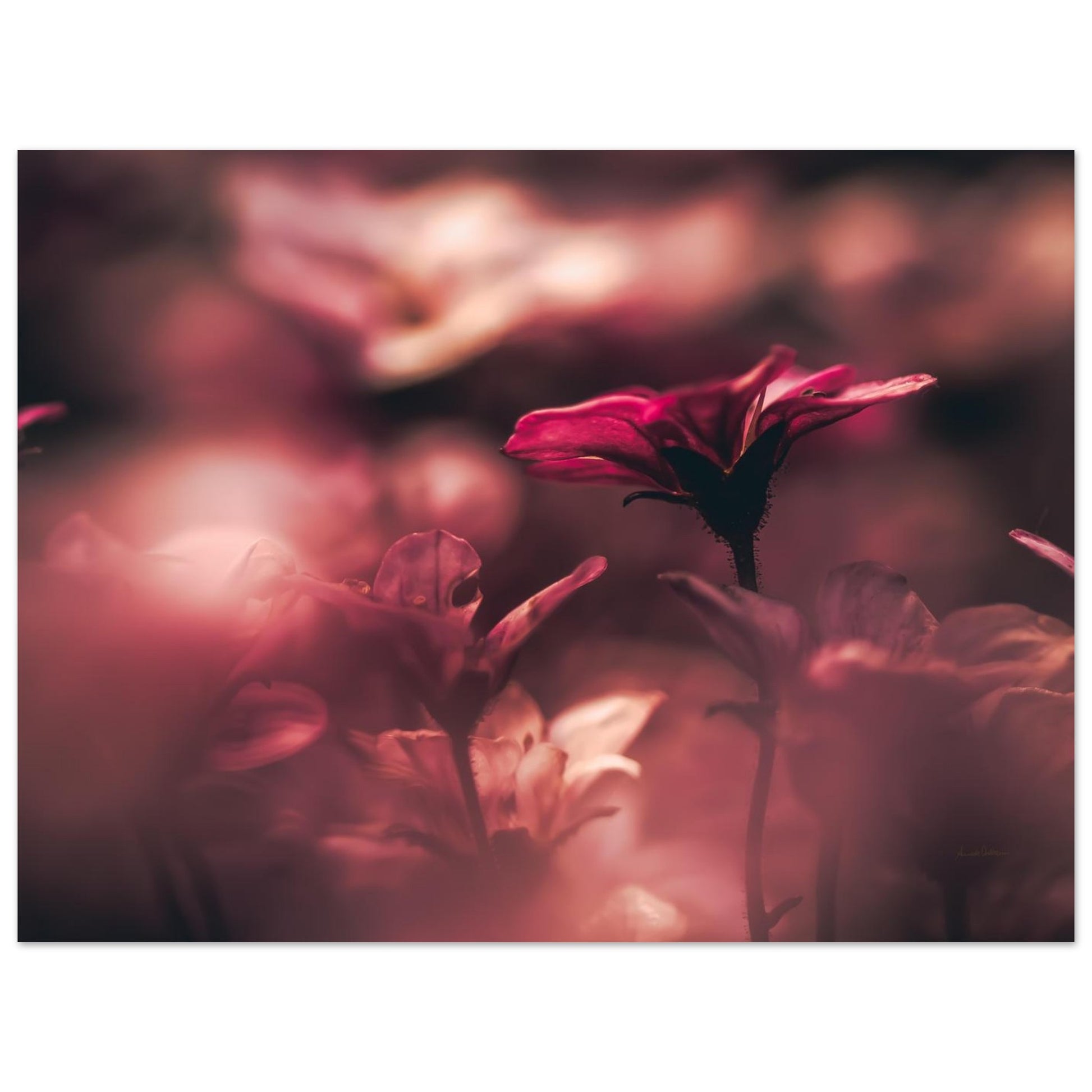 138ce9a4-3f1a-4f93-b6b5-58e1783c877a