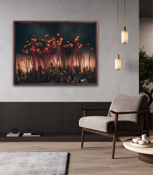 Amber Dreams - liggende format