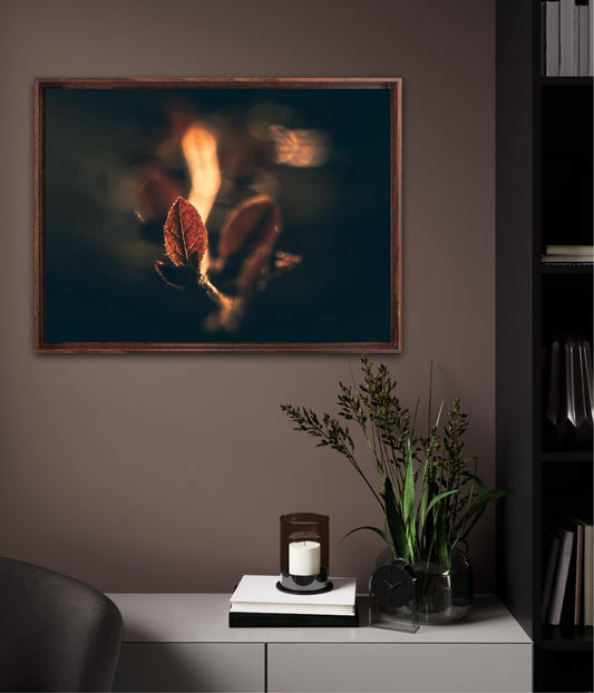 Fire - liggende format