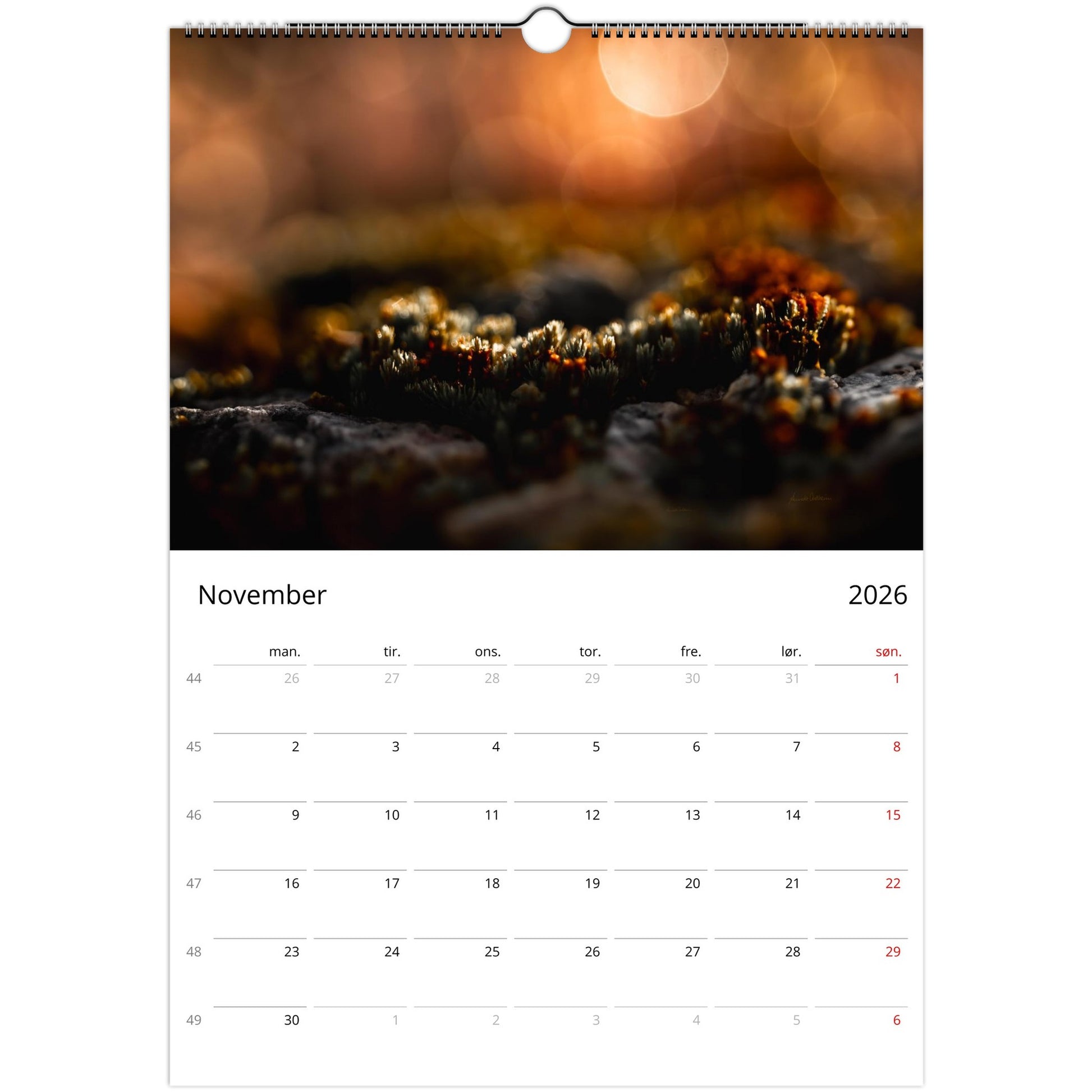 30b3121d-699e-4dee-bb54-07b6c351fdaa