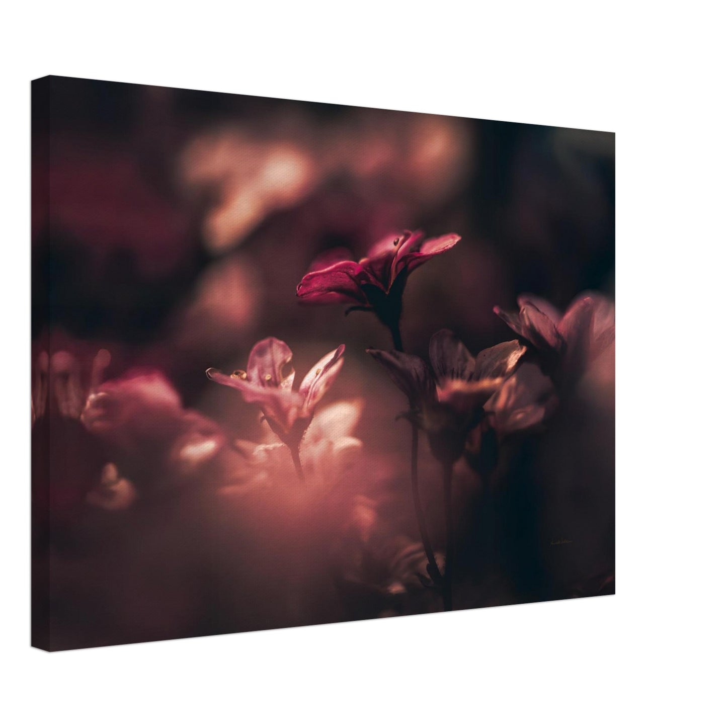 33fd5355-e75e-4672-8841-4d9c2b51b066