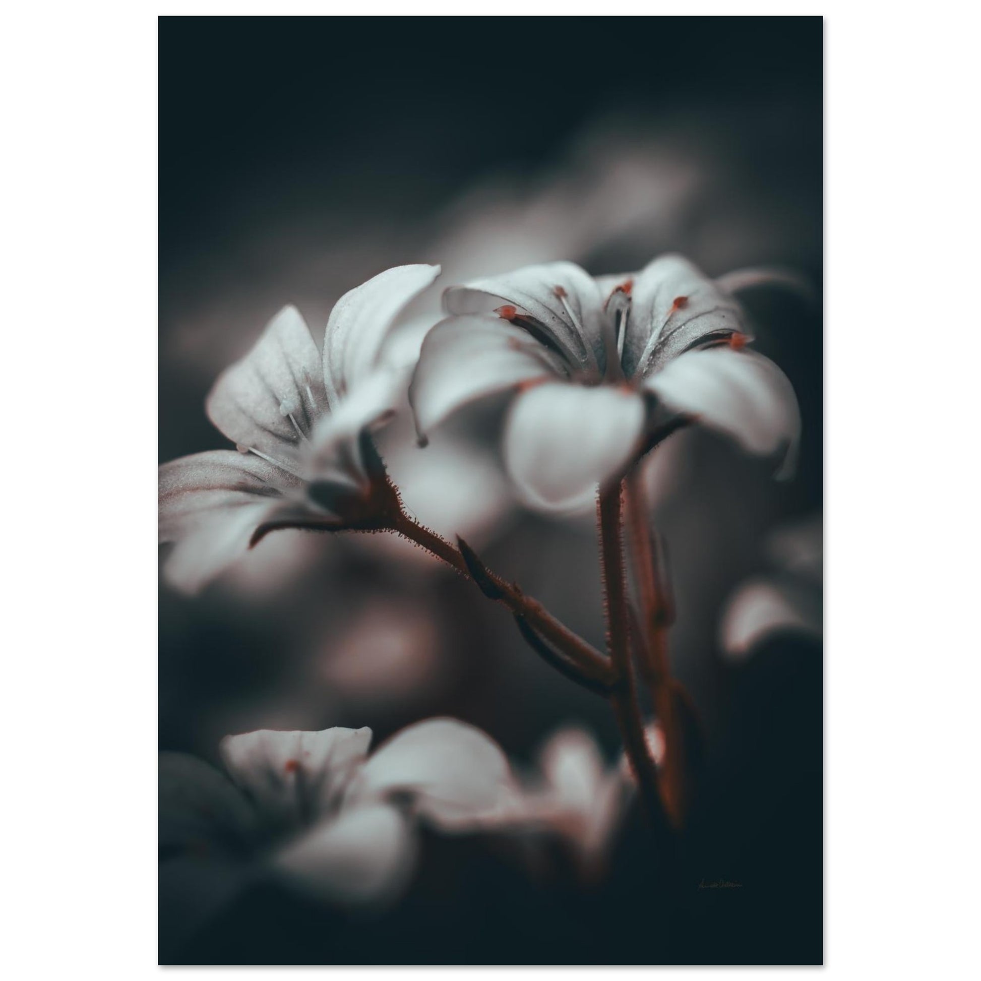 38d532f5-9a8e-4b3e-936e-ef677830358d