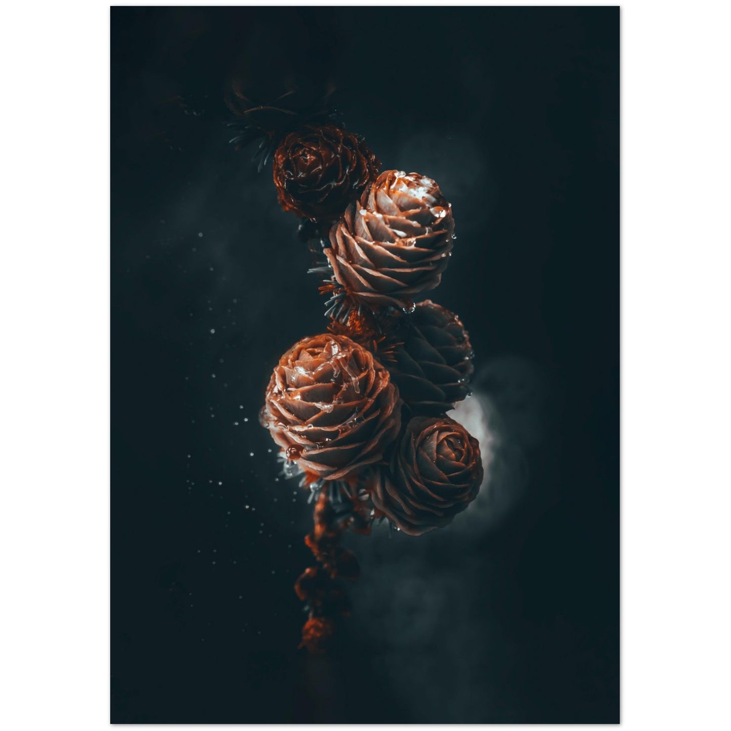 394af7a9-3f40-4731-ae60-40764df79c40