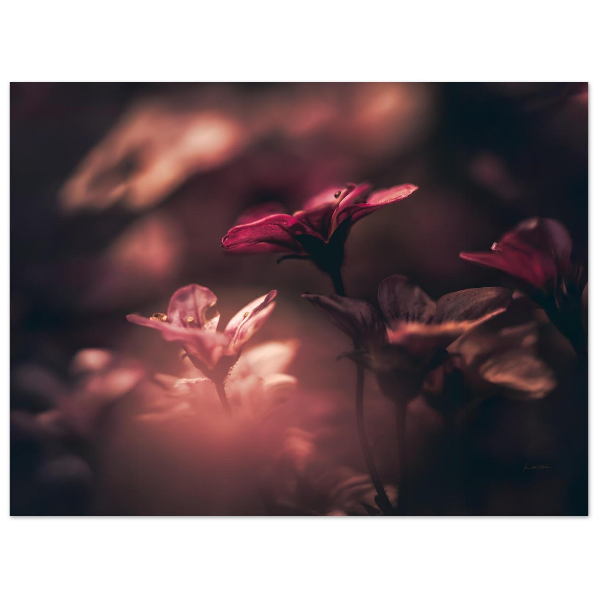 41fd1009-0841-431b-a70b-b30937eba145