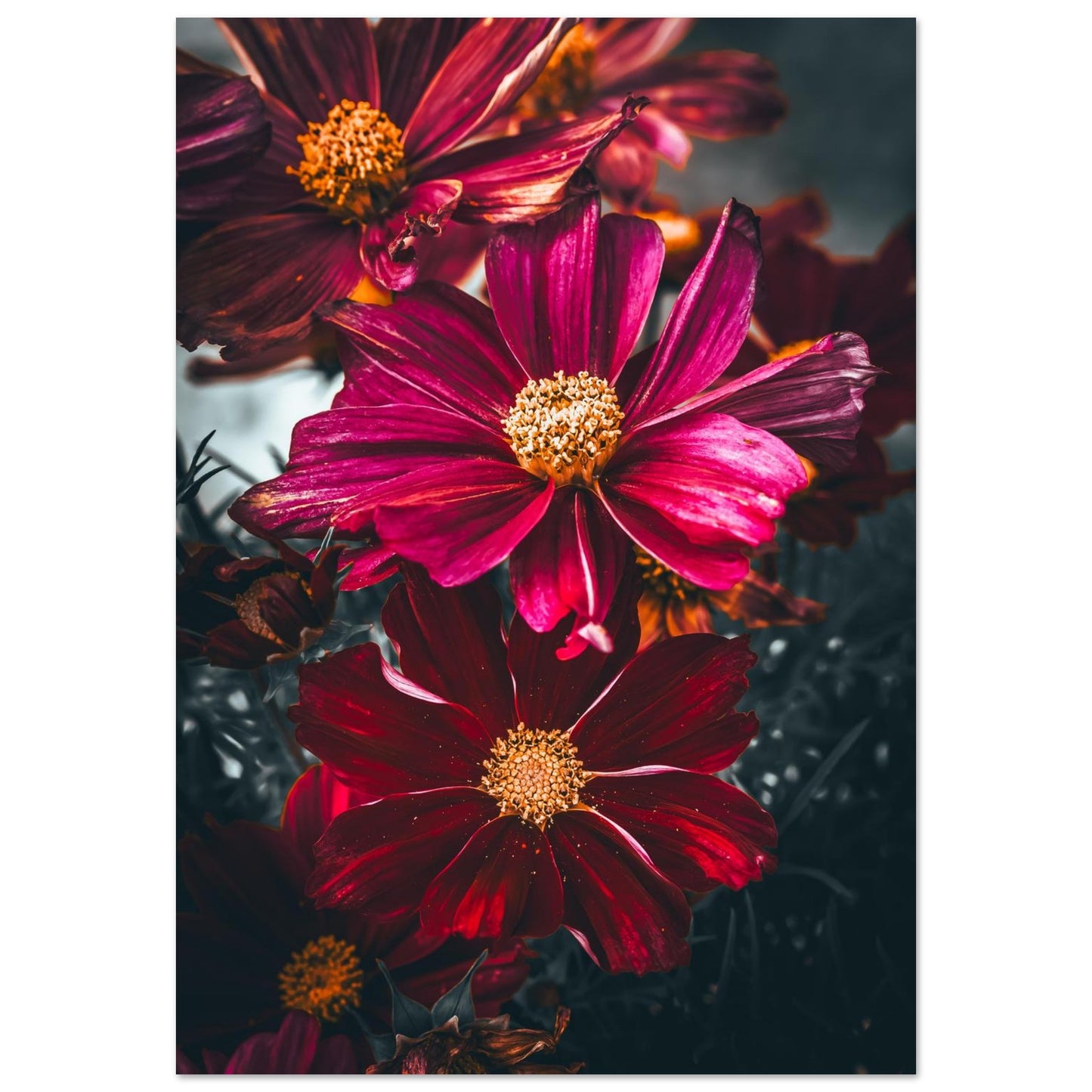 4b632043-2ea0-4ee8-a835-6446cf880f38