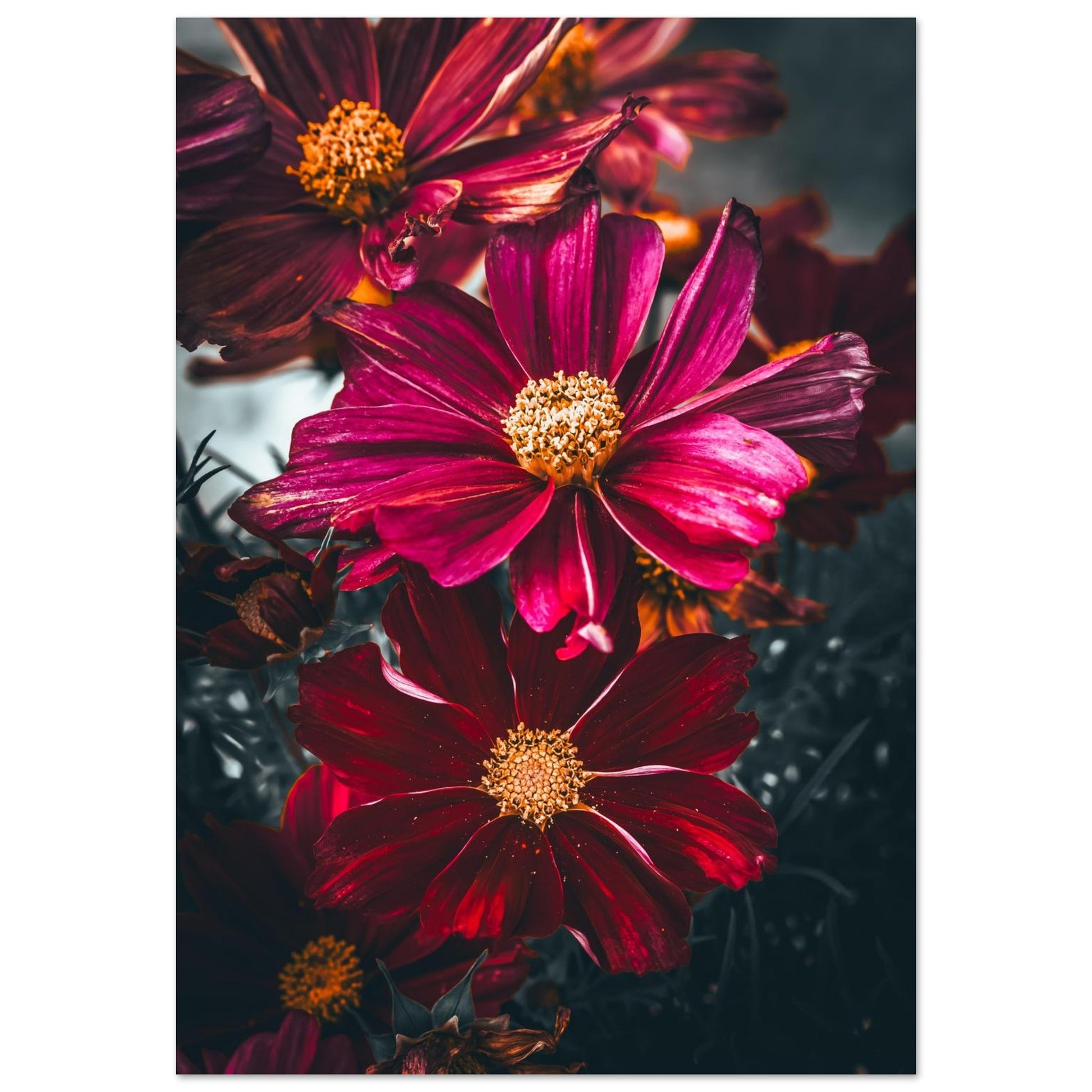 4b632043-2ea0-4ee8-a835-6446cf880f38