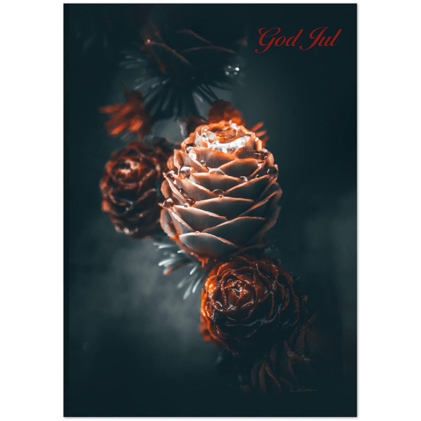 53666ea1-730e-4991-a522-f38f8ce25706