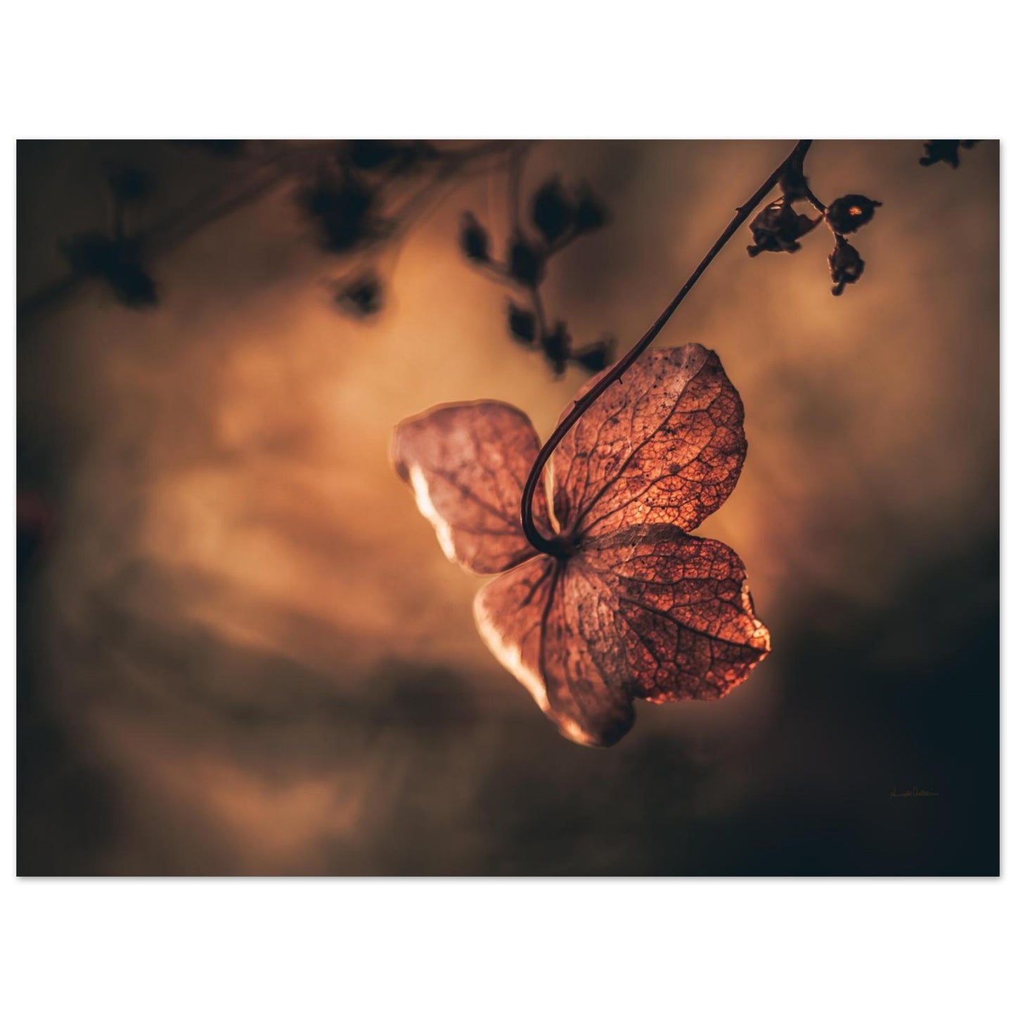 59073ea9-0bdf-4910-b71c-a7bfe1377d75