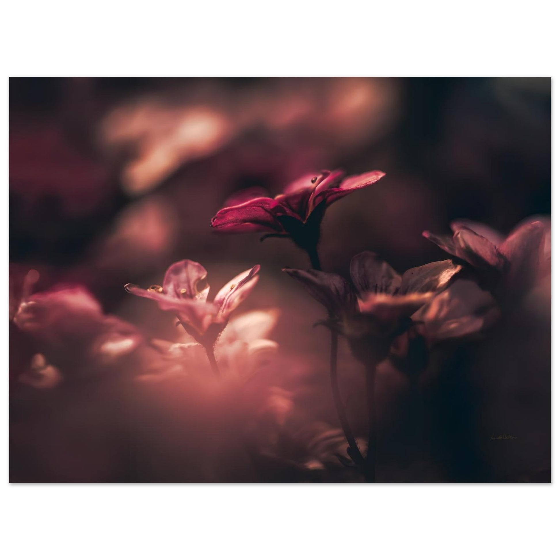 5c7d182f-8265-47f4-a6af-fc2d0e6464a8