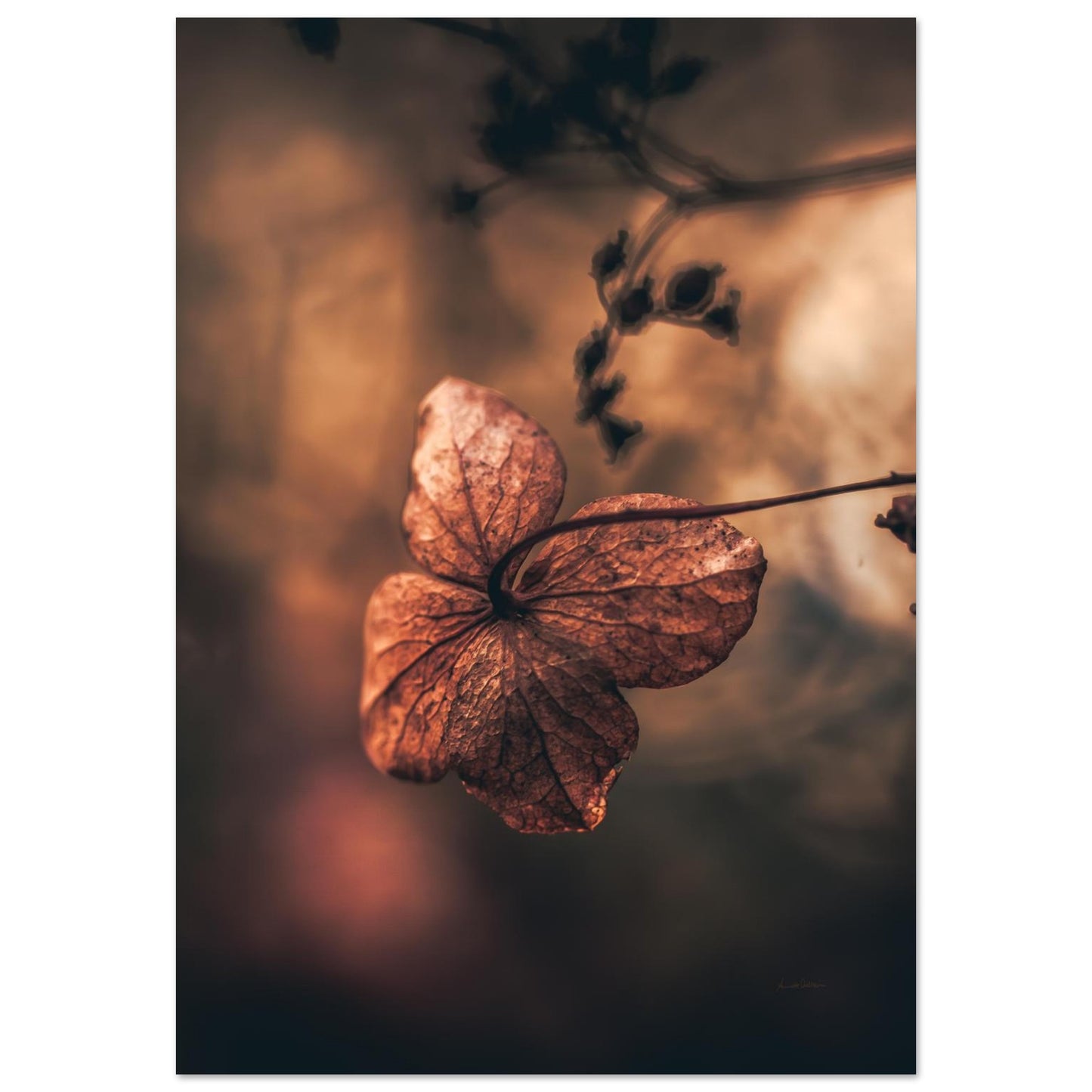 88adf987-e227-499c-8517-2358a5a80667