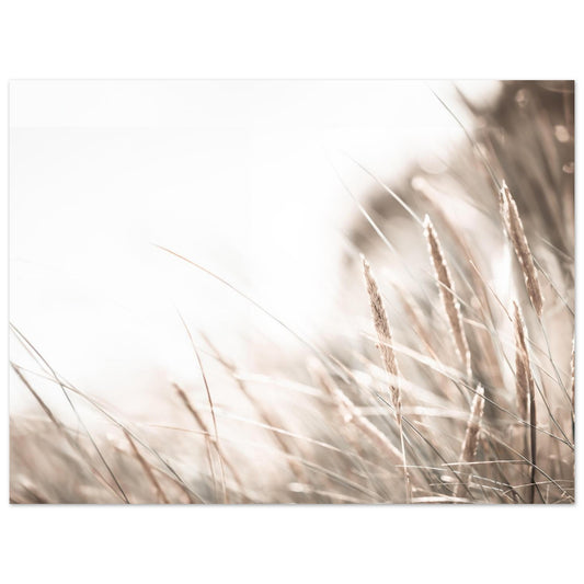 8a04d030-3d26-4bb0-aa5b-4afa1bc74c02