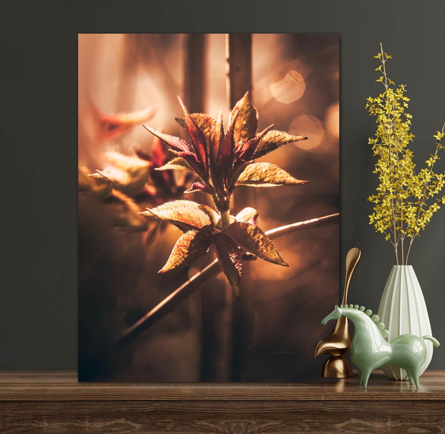Golden align og Golden touch serie