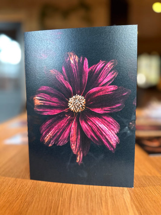 Present - Pakke med 10 foldekort (standardkonvolutter)