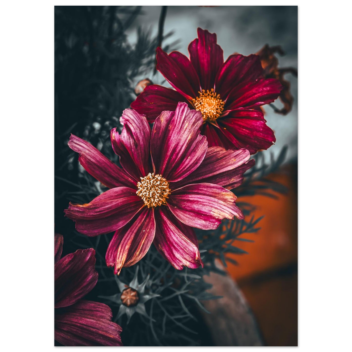 a789c942-0fd9-49a6-a68b-05c677f73c2f