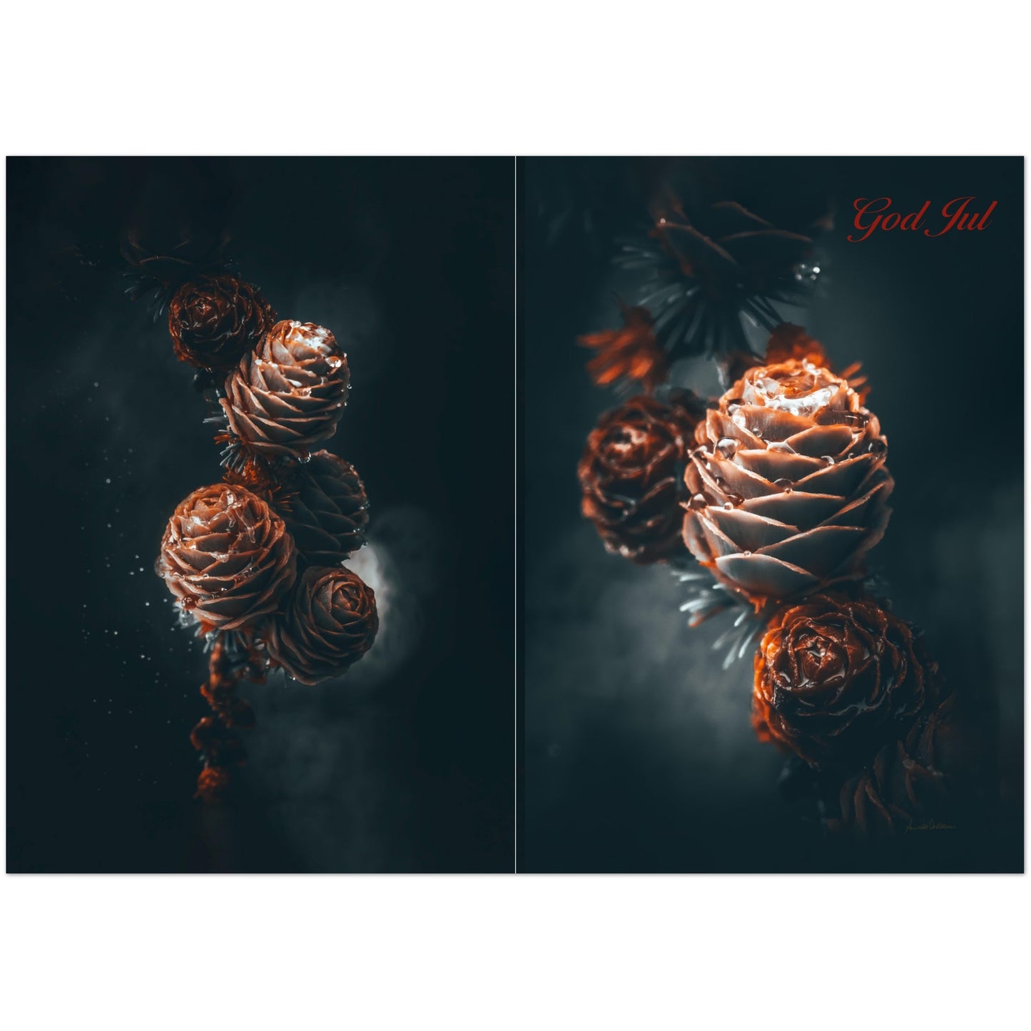 b7442bfe-1596-4752-8cb3-3ba257246f8b