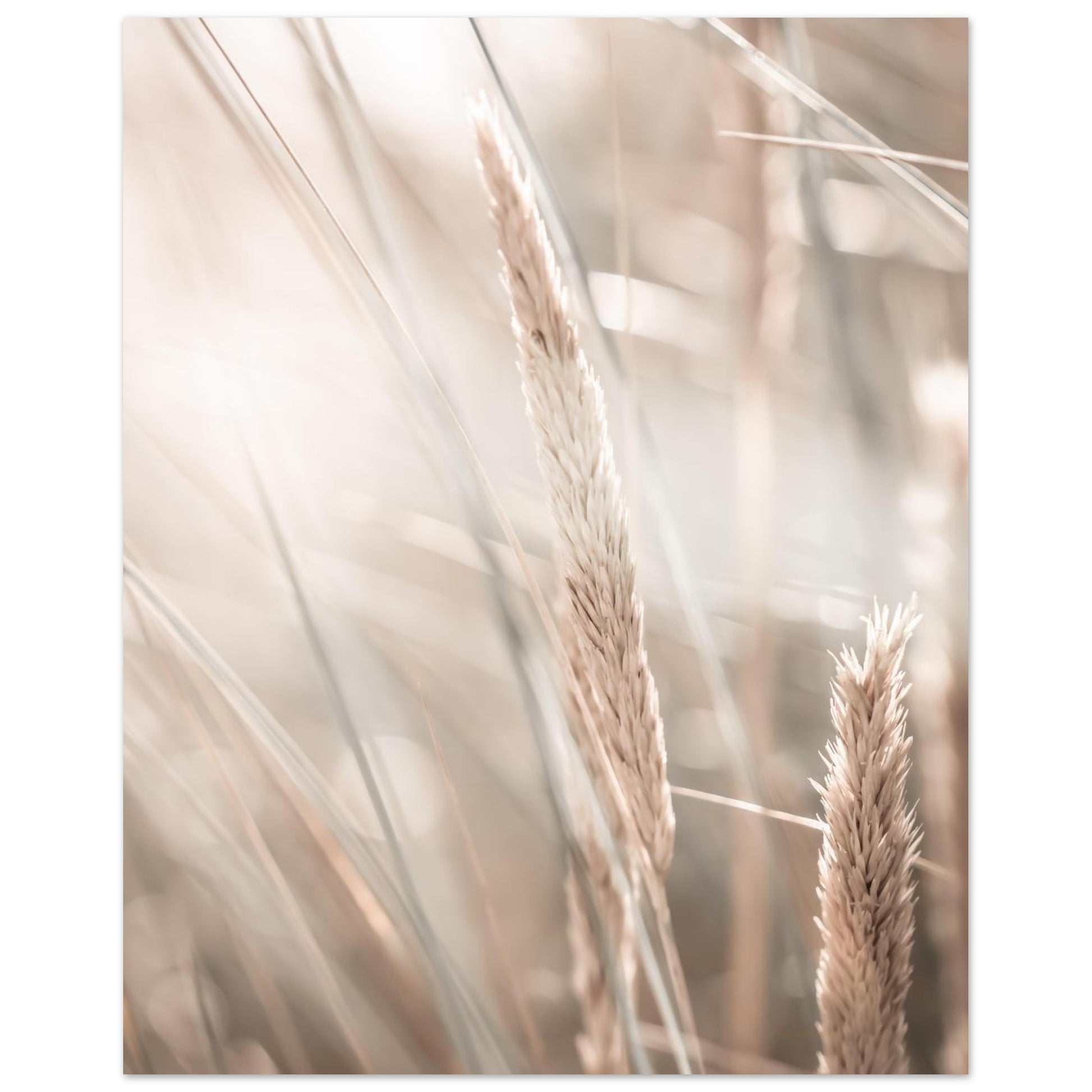 c61f2fd0-c27b-4248-b4db-494b17cca809