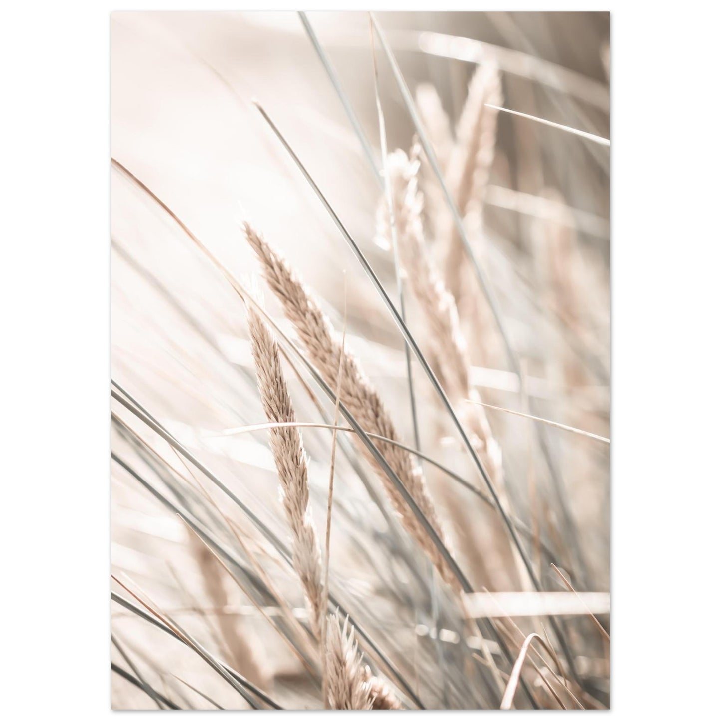 c8289cf2-ca5f-4242-ab80-324e6d472800