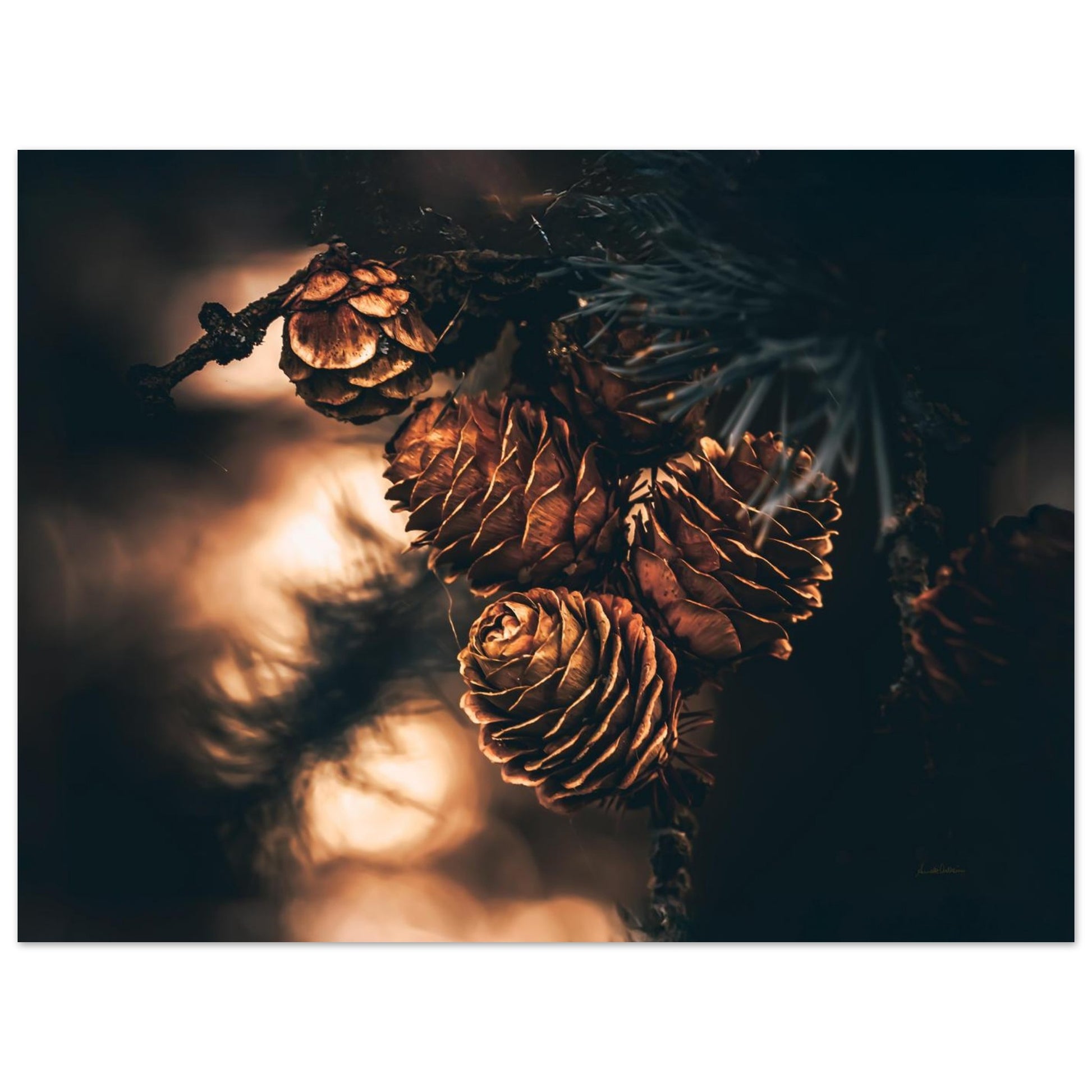 df7c4b41-b827-4738-908d-711925f1c982