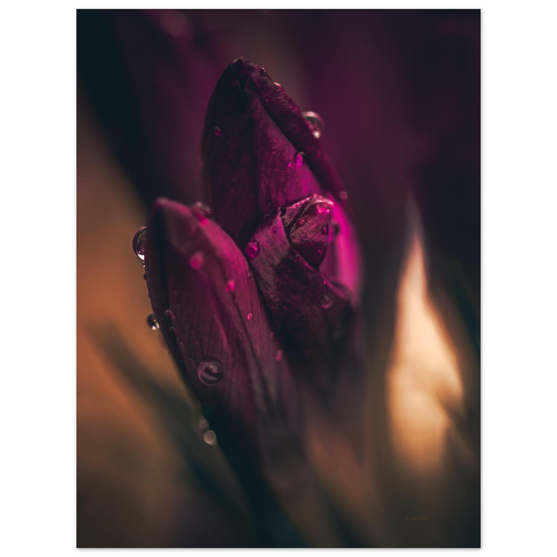 dfdafbbc-7533-45d4-a61c-75097e11862a