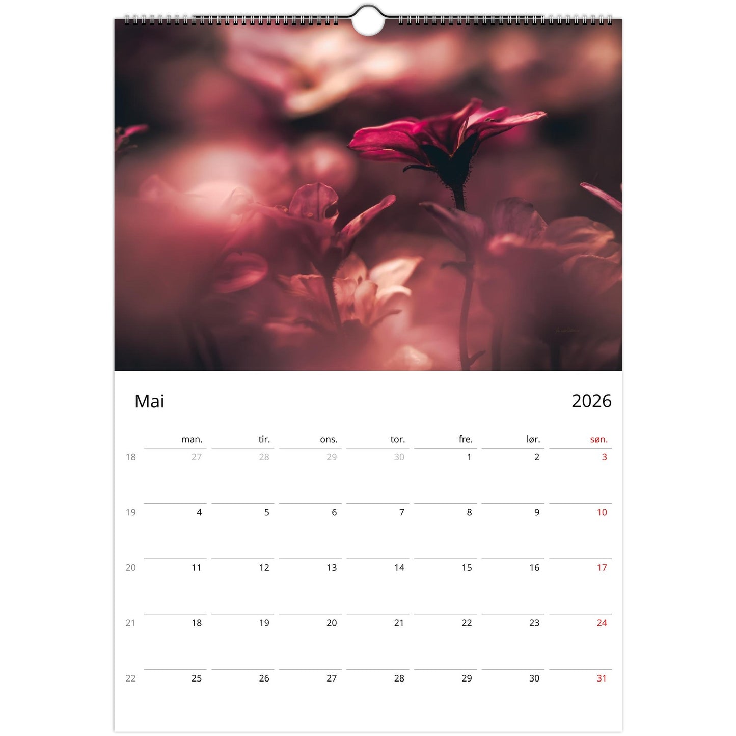 ec4fd7d9-ee99-4c0e-a59d-d929c9f4fe32