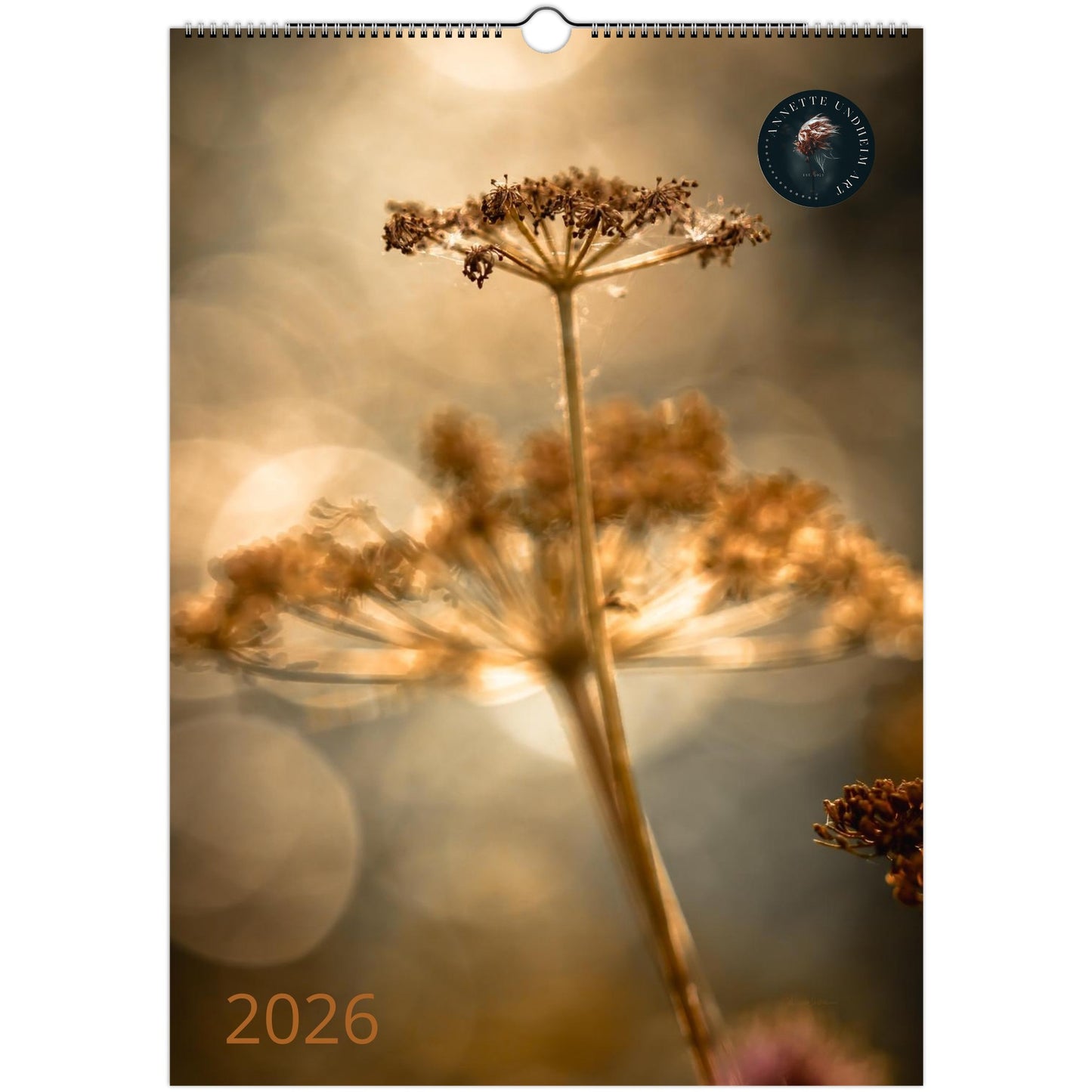 eef82c07-3159-4511-9d5d-c706ed6535f9