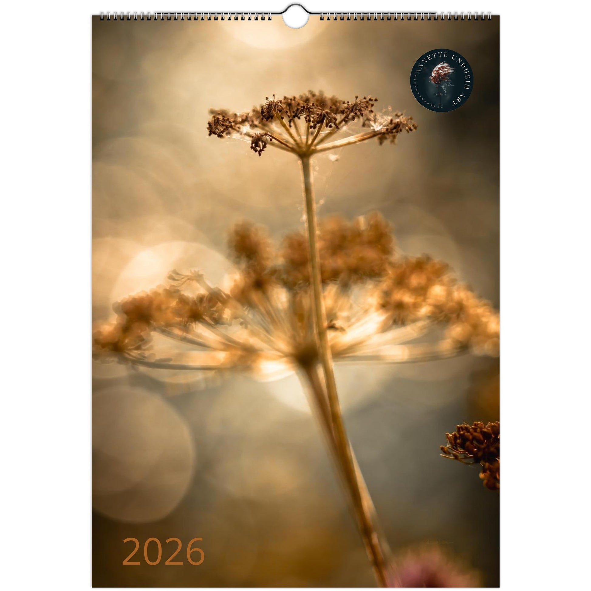 eef82c07-3159-4511-9d5d-c706ed6535f9