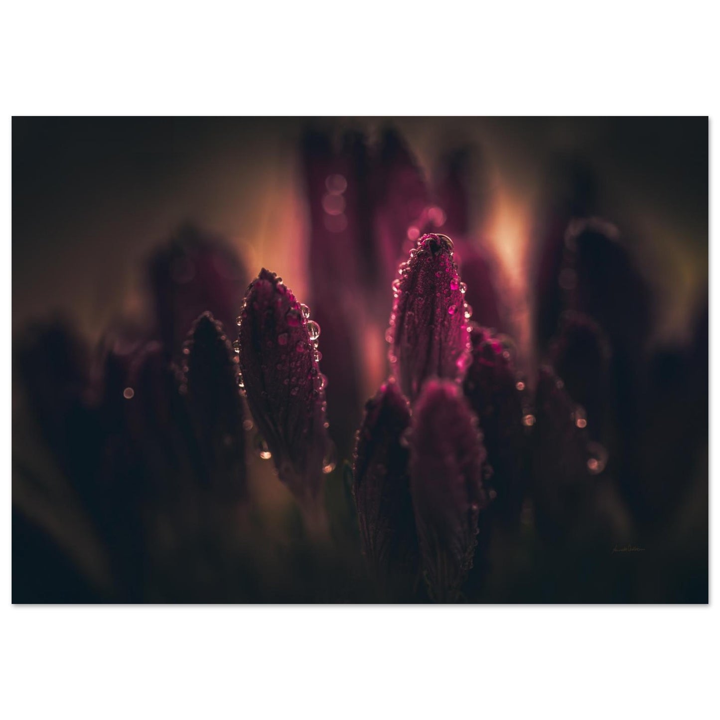 f34c1683-c4bf-4e23-a6b8-e071fe11e35c