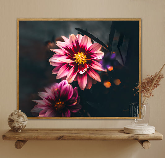 You shine II - liggende format